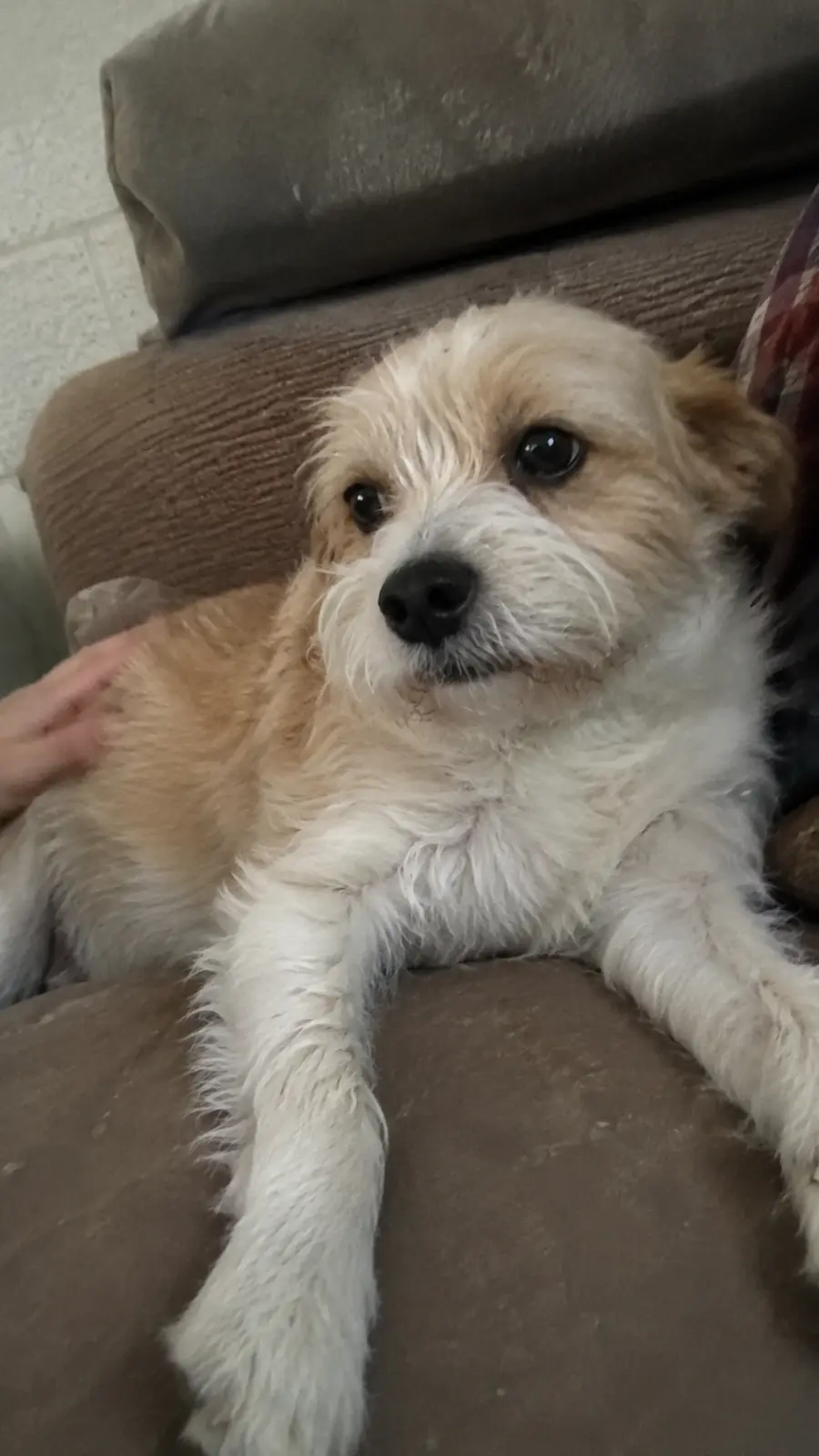Benny