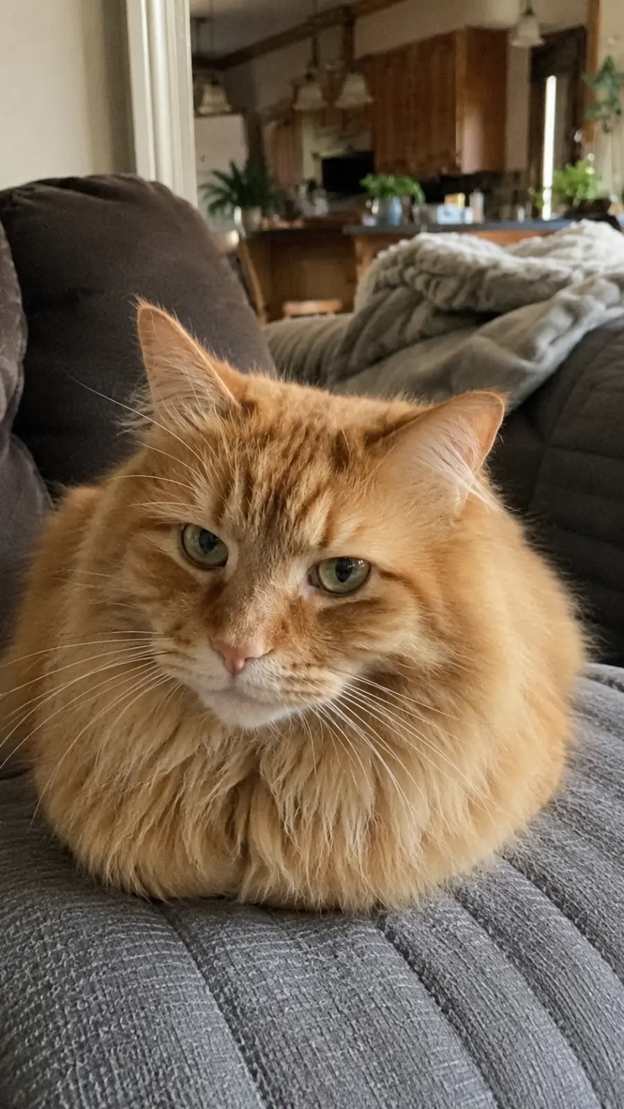 Chester