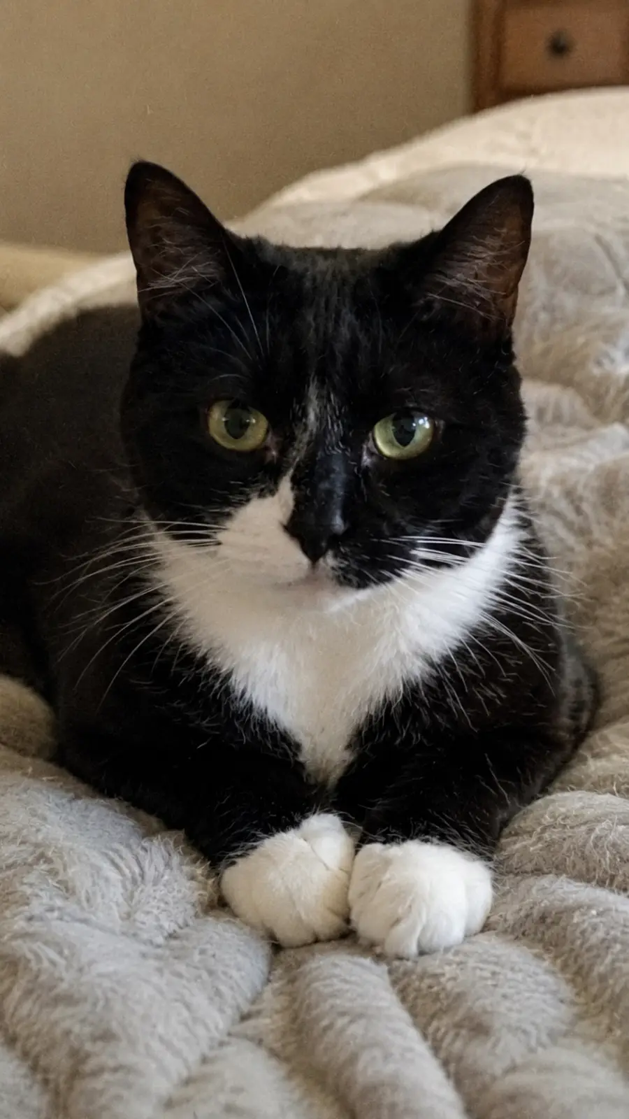 MIllie