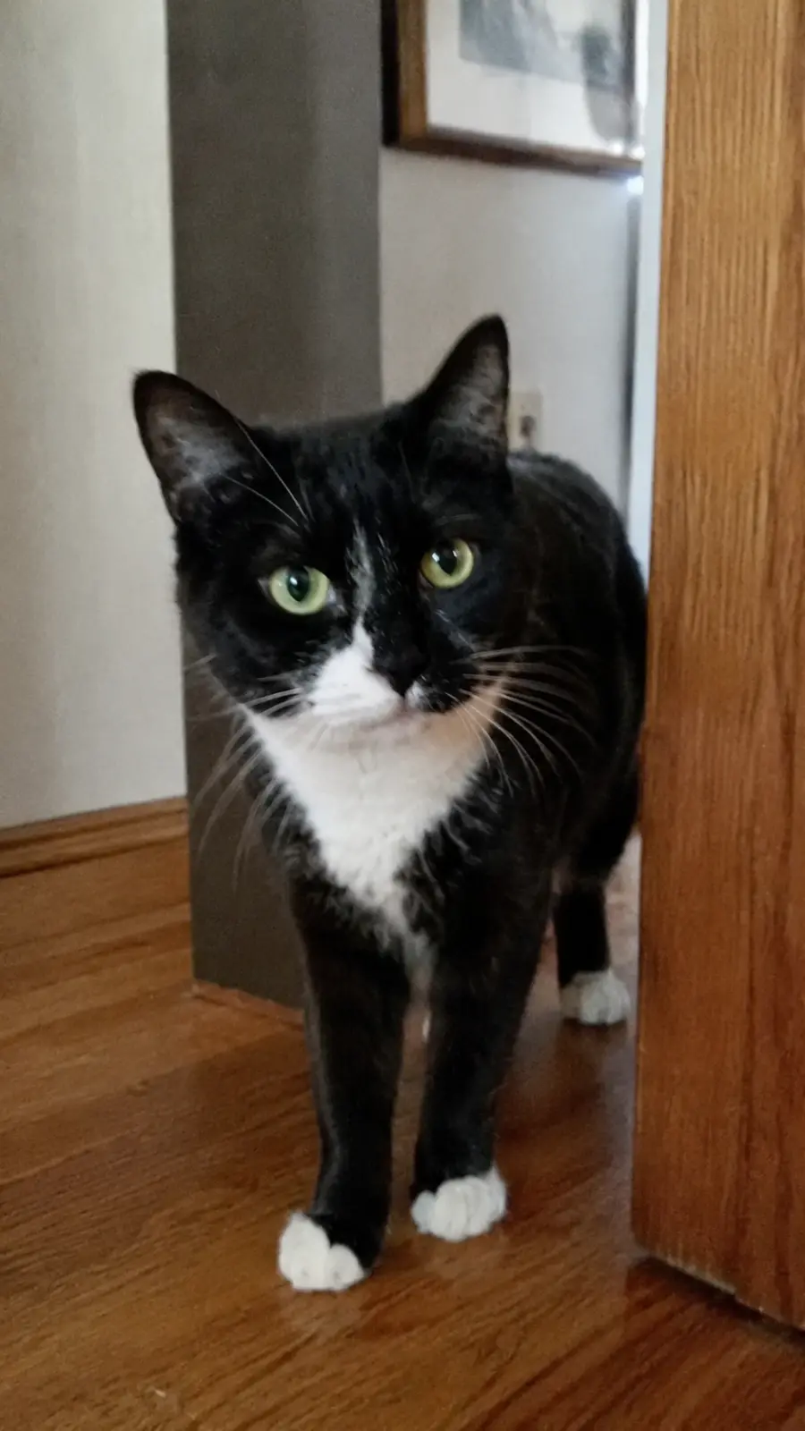 MIllie