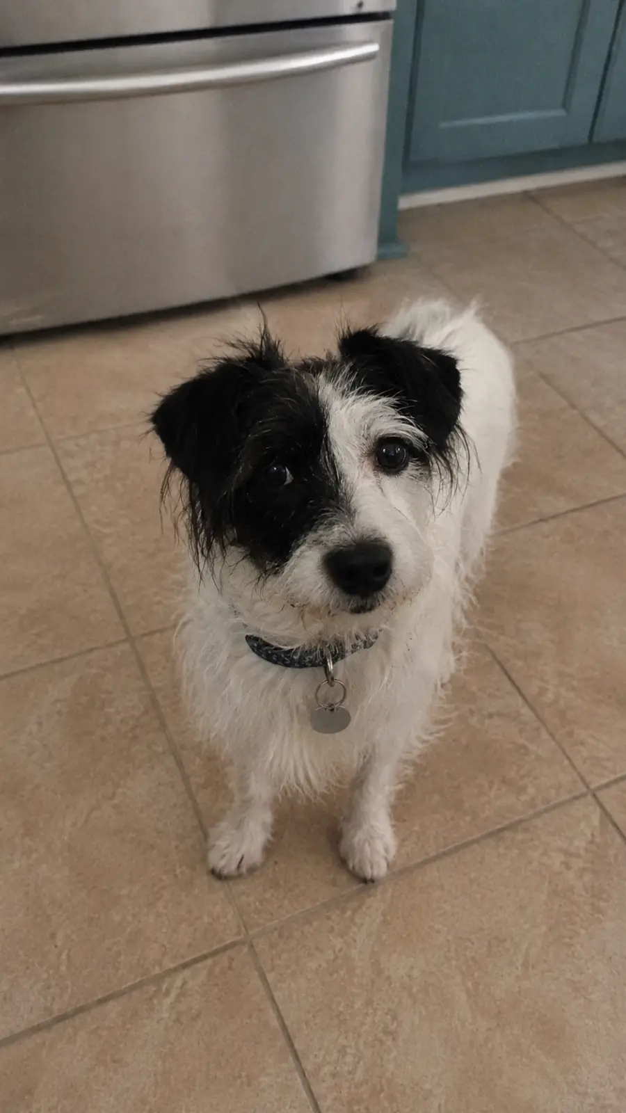 Pepper