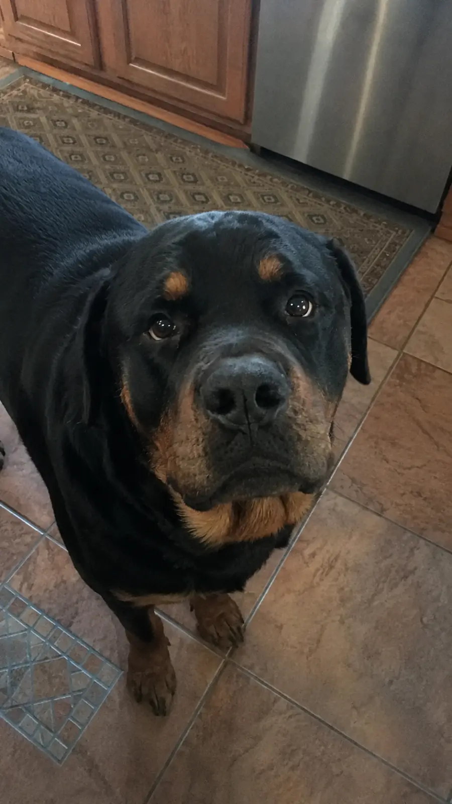 Bruno