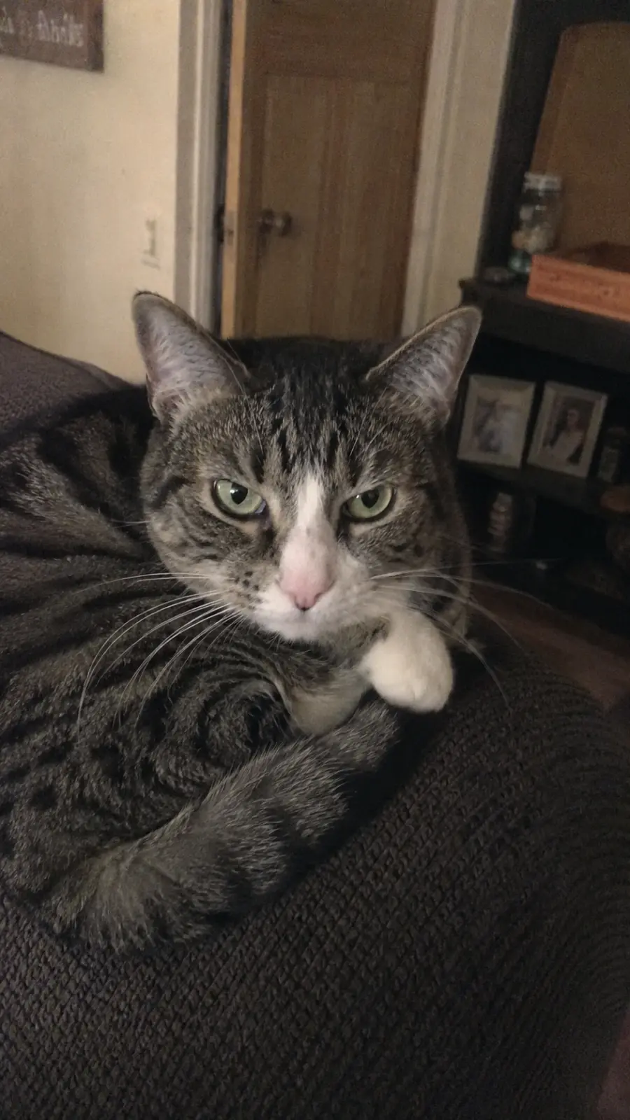 Murphy