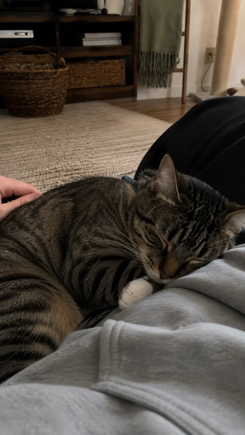 Mabel took the hoodie string personally
