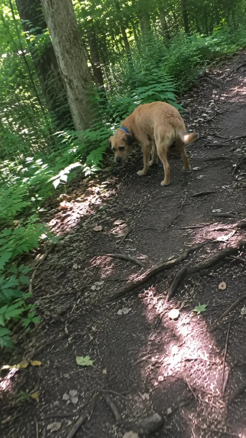 He kept checking if I was still coming