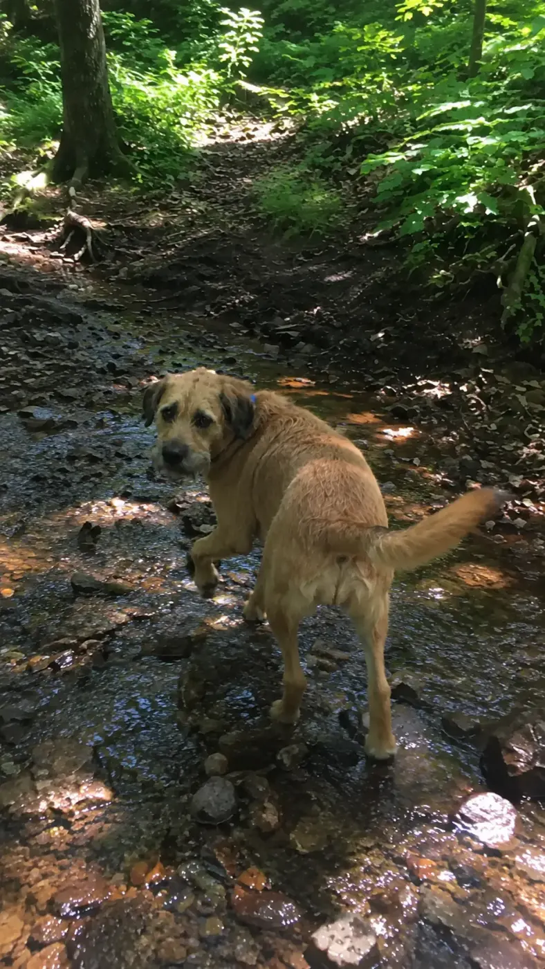 He kept checking if I was still coming