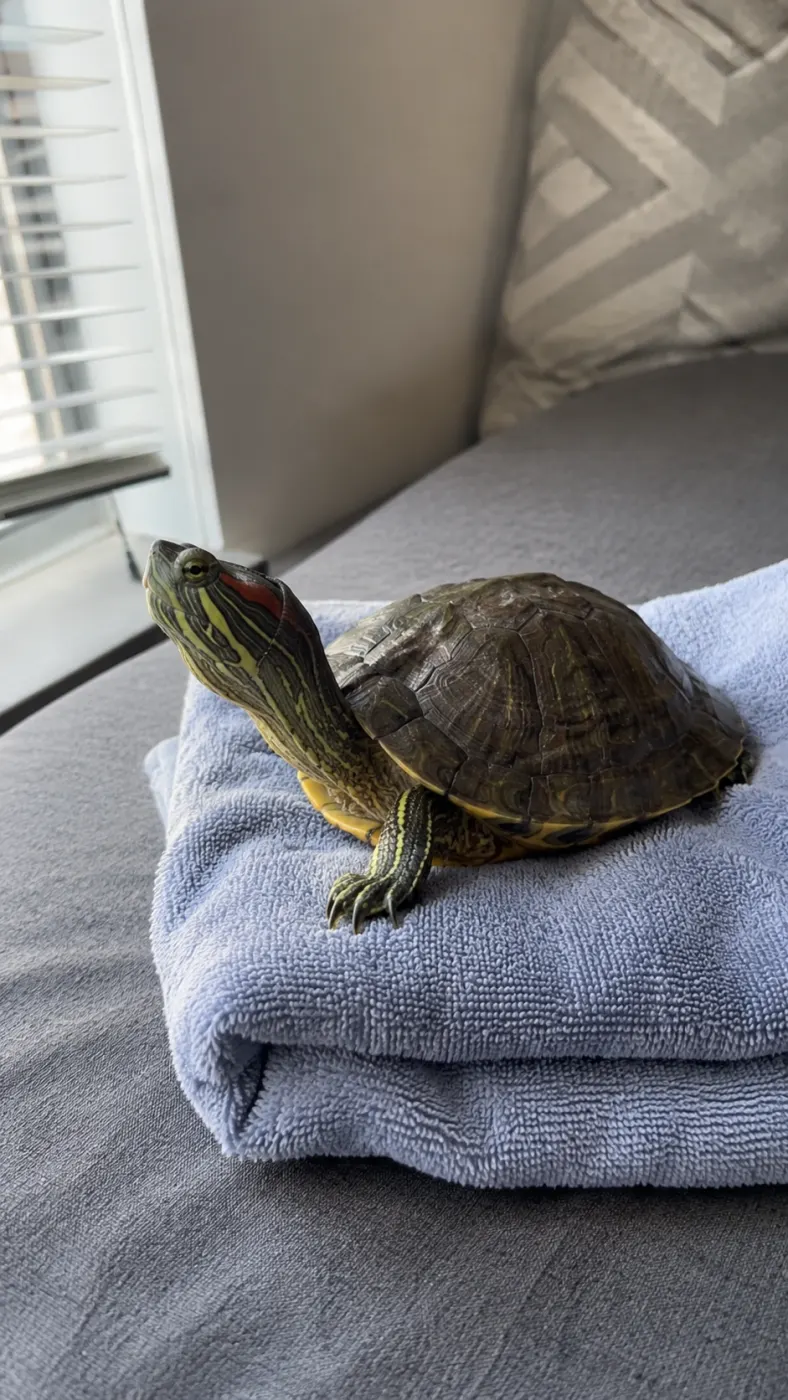 Pickle’s Slow Little Spa Day